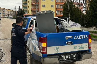 Zabıta Ekipleri Kentin Düzenini Bozanlara Geçit Vermedi!