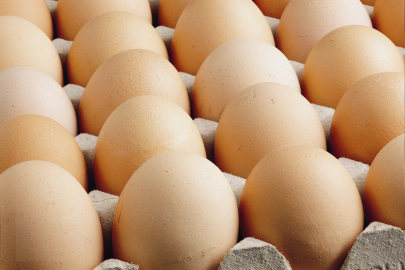 Yumurta Üretimi Gün Geçtikçe Azalıyor!