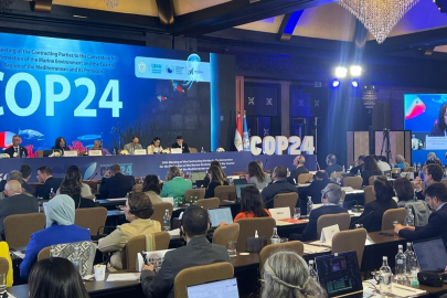 Balıkesir’e "Çevre Dostu Belediyecilikte" uluslararası başarı ödülü