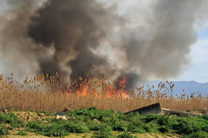 İznik'te rüzgarla birlikte yangın büyüyor