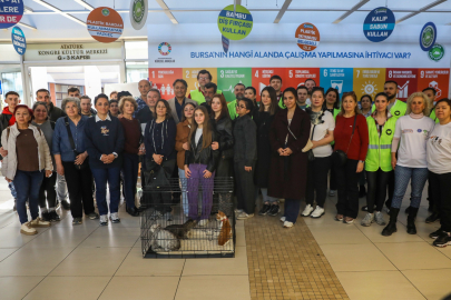 Bursa’da Dünya Kediler Günü’nde yuvalandırma ve Kedi Evi Atölyesi