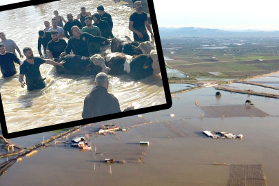 Taşan Nehirde mahsur kalan 44 kişi ve 127 hayvan kurtarıldı