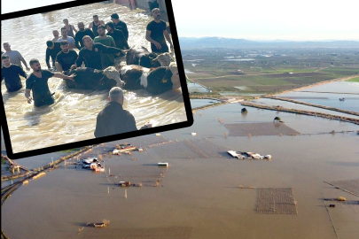 Taşan Nehirde mahsur kalan 44 kişi ve 127 hayvan kurtarıldı