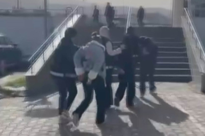 Aile boyu hırsızlık