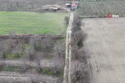 Kaybolan kedisi için binlerce kilometre yol yaptı