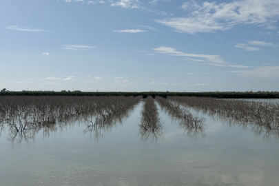 Taşkın nedeniyle Tarsus- Tuzla yolu kapatıldı