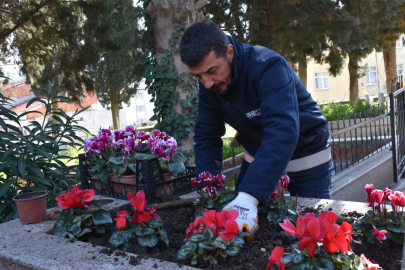 Şehitliklere bakım ve peyzaj çalışması