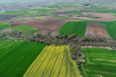 94 Yıllık Kadastro Davası Karara Bağlandı