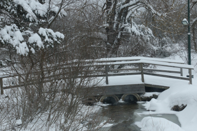 Abant Gölü Milli Parkı beyaza büründü