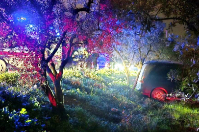 Kaza Yapmayayım Derken Zeytinliğe Daldı!