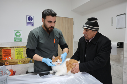 Her ay 800 hayvan 32 kişilik ekibin sayesinde şifa buluyor!