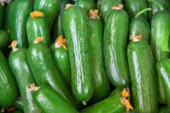 Salatalık zirvede, Uçak biletleri düşüşte