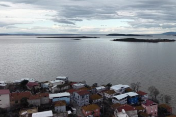 İstilacı İsrail sazanları balıkçılara gelir kaynağı oldu