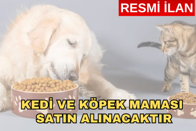 KEDİ VE KÖPEK MAMASI SATIN ALINACAKTIR