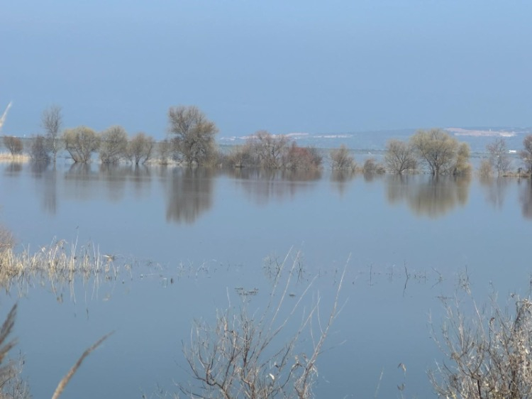 En son 18,5 liradan verdim. Şimdi 20 lira olduğunu söylüyorlar