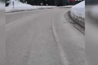 Uludağ'da tilkiye çarpan otomobil sürücüsü yaralı halde bırakıp kaçtı