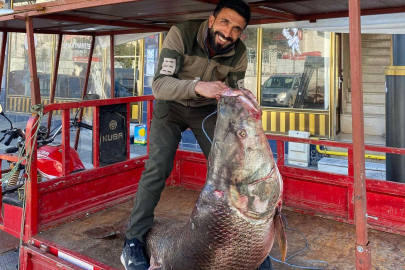 Hay Maşallah tam 100 kilo