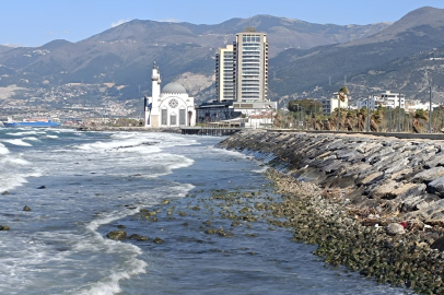 İskenderun Körfezi'nde Şaşırtan Olay