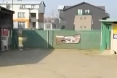 Hayvanların İnleme Sesleri Hayvan Severleri Harekete Geçirdi