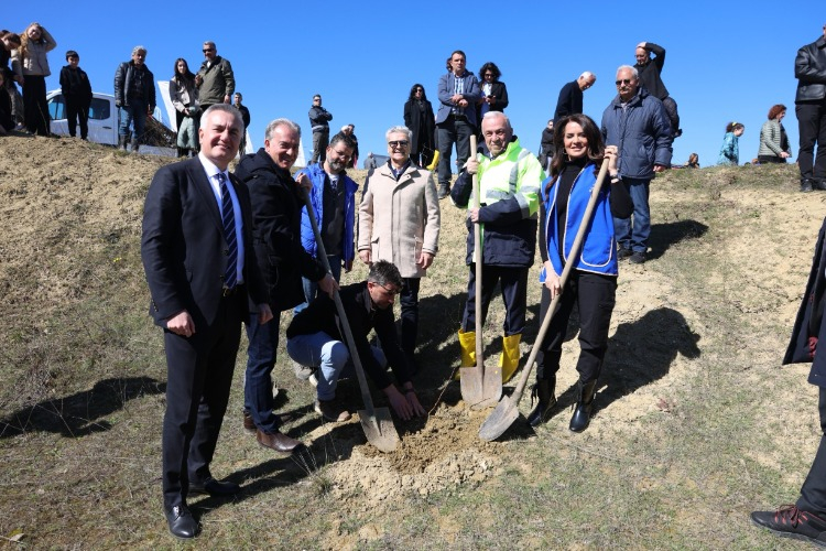 Yangınlara dirençli