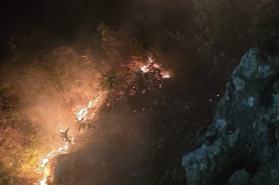 Antalya'da Orman Yangını