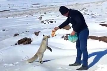 Bitlis'te İşçilerden Tilkiye Şefkat Eli