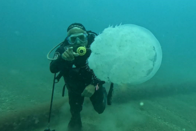 Balıkçıların kabusu oldular