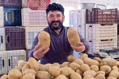 Dev Patatesler Vatandaşın İlgisini Çekiyor!