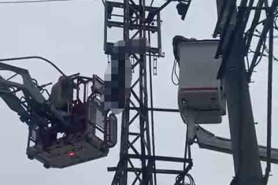 Hırsızlık için çıktığı elektrik direği sonu oldu