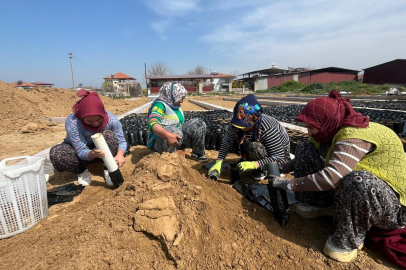 İki Kardeşin Dikkat Çeken Başarısı!