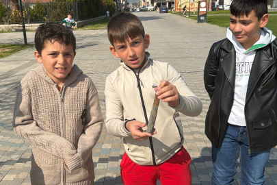 İznik Gölü kıyısında oynayan çocuklar top mermisi buldu