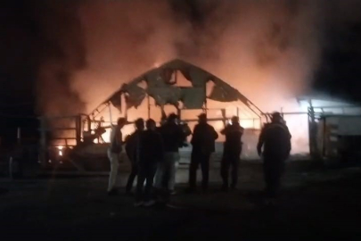 Bursa'da çiftlikte yangın: 580 kanatlı hayvan telef oldu