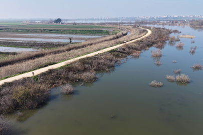 Karacabey çiftçisi suların çekilmesini bekliyor