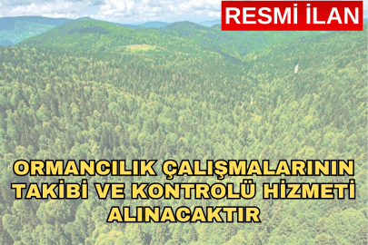 ORMANCILIK ÇALIŞMALARININ TAKİBİ VE KONTROLÜ HİZMETİ ALINACAKTIR