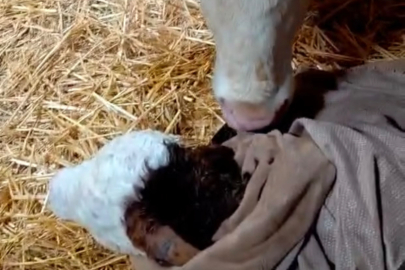 Bayram Sabahı Mucizesi...