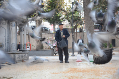 Meydan Bayramda Kuşlara Kaldı