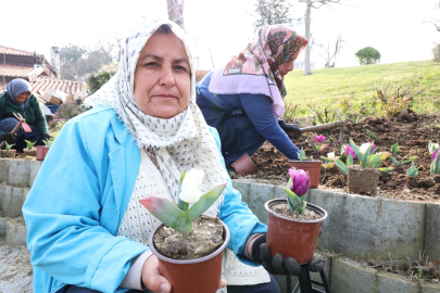 Osmangazi çiçeklerle renkleniyor