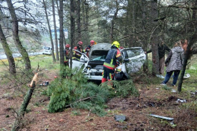 Otomobil ormanlık alana uçtu: 2 yaralı