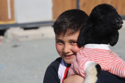 Elbiseli kuzu görenleri gülümsetiyor