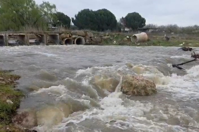 Kuruyan dere coştu, İznik Gölü’ne umut oldu