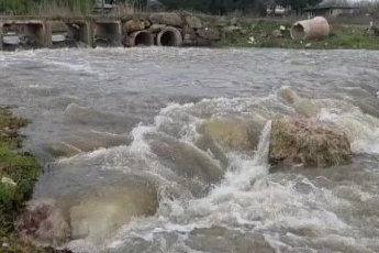 Kuruyan dere coştu, İznik Gölü’ne umut oldu