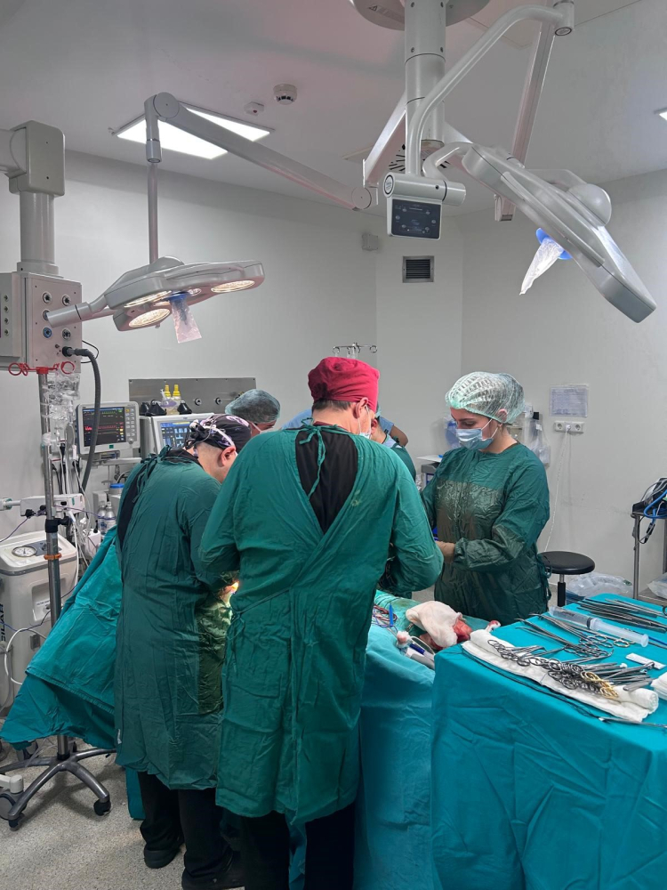 15 yılda 4 bin şifa, binlerce umut