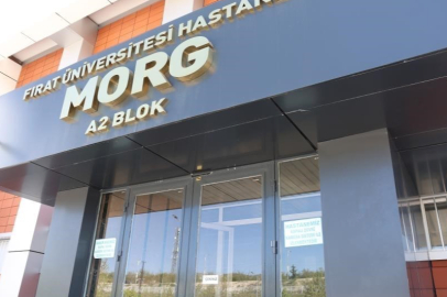 Yeğeninin darbetmesi sonucu hayatını kaybetti! 73 yaşındaki adamdan acı haber