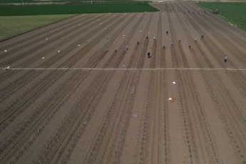 Karacabey Ovası'nda turfanda karpuz ekimi başladı