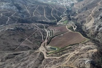 Siyahların ardında açan pembe şeftali çiçekleri