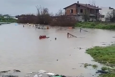 Sağanak Bursa'yı vurdu: Tarlalar göle döndü, hayvanlar mahsur kaldı