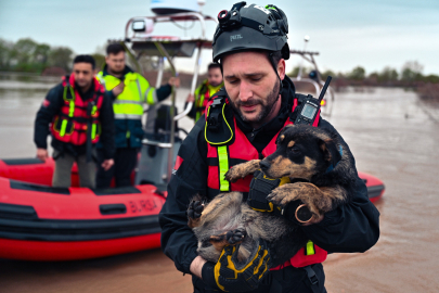 Bağ evinde mahsur kalan iki köpeği belediye ekipleri kurtardı
