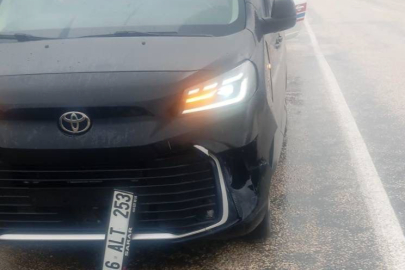 Yolun Karşısına Geçen Köpeğe Otomobil Çarptı