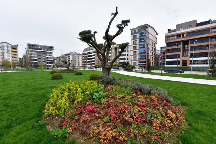 Yeni sosyal yaşam alanı