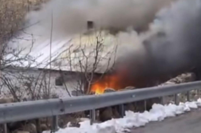 Bursa'da bağ evinde çıkan yangın korkuttu